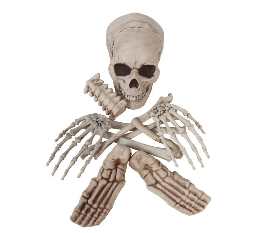 Miniatuur 1