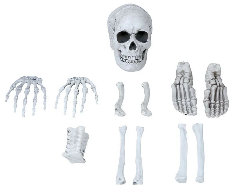 Miniatuur 2